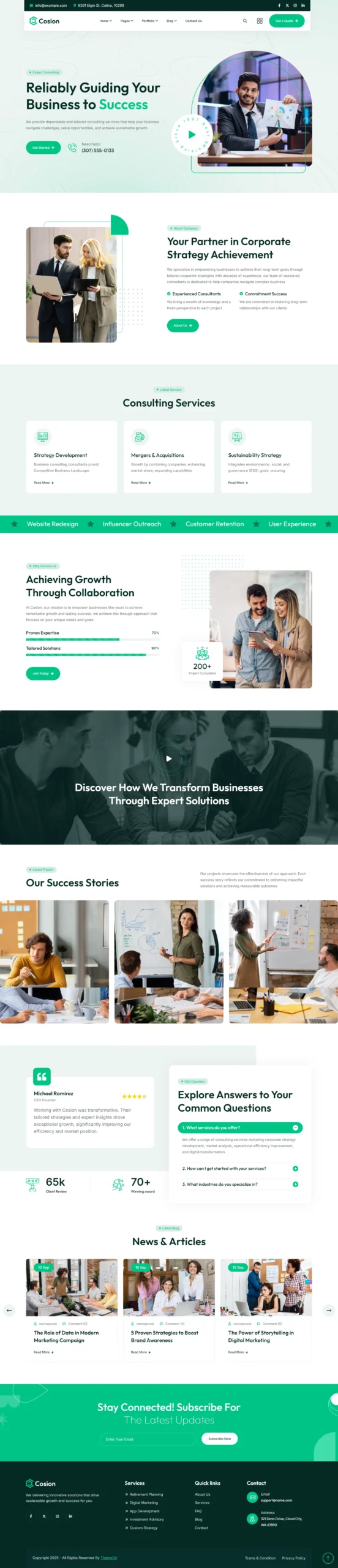 Consultancy Website